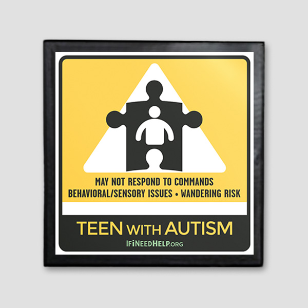 TeenAutismCarMagnet