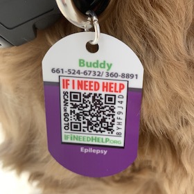 Custom Pet Tag Item