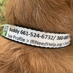Pet Collar Item