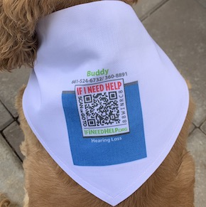 Large Pet Scarf Item