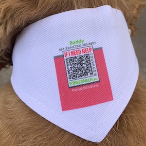 Small Pet Scarf Item