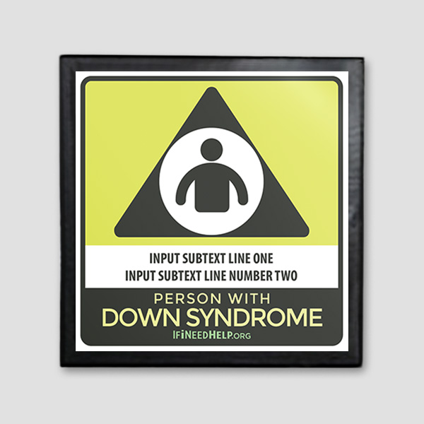 DS Car Magnet